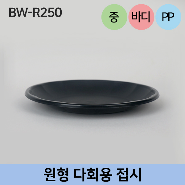 BW-R250 다회용접시-중